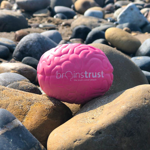brainstrust Squishy Brain