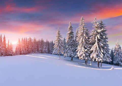 'Christmas Snow Scene' Christmas cards, pack of 10